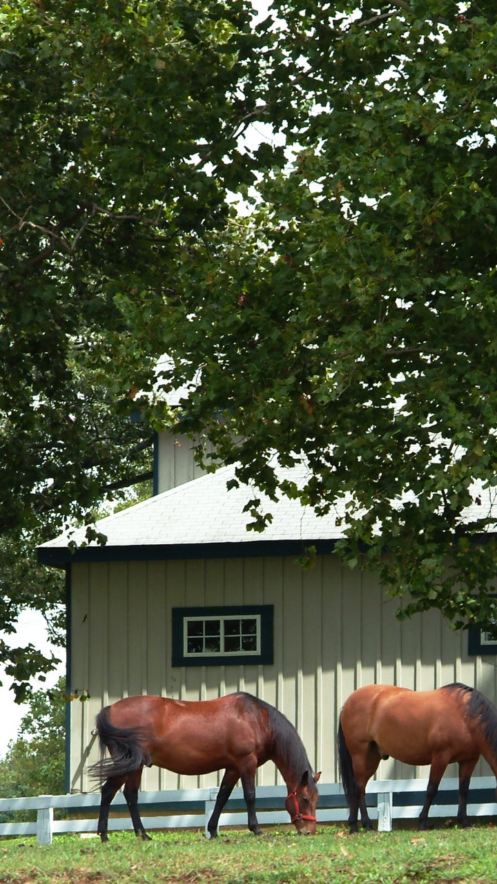 Gallatin TN Equestrian Real Estate Horse Farms for Sale Gallatin TN