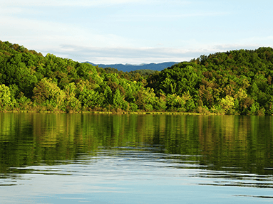 Percy Priest lake early fall
