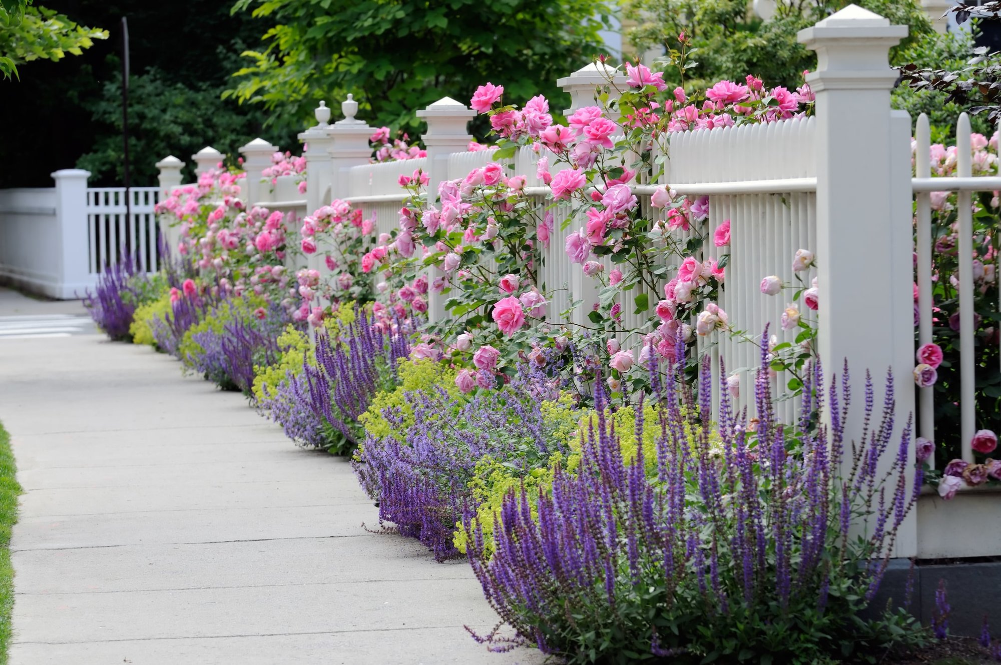 residential property fence with flowers in White House Tennessee